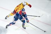 ZSC - TIGERS