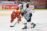 TIGERS - FRIBOURG