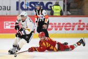 TIGERS - FRIBOURG