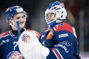 ZSC - TIGERS